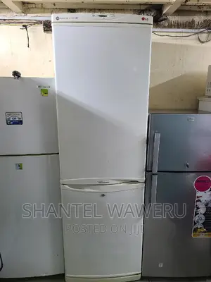 Big Bottom Freezer Fridge