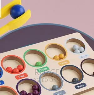 Color Classification Bead Montessori Game