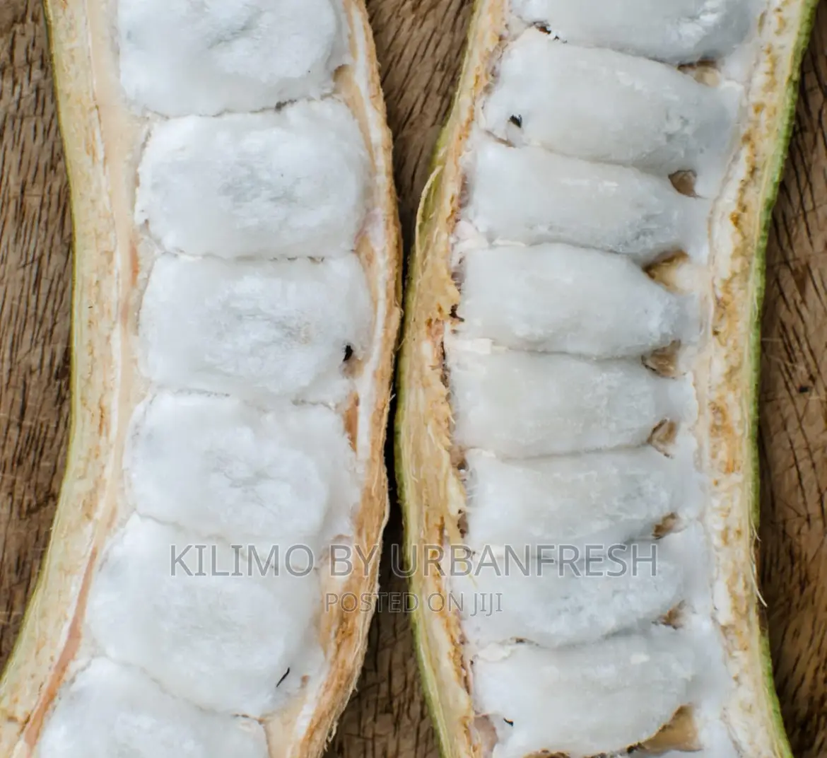 Sweet Icecream Bean Tree Seedlings.