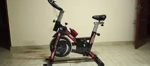 Home Indoor Spin Bike