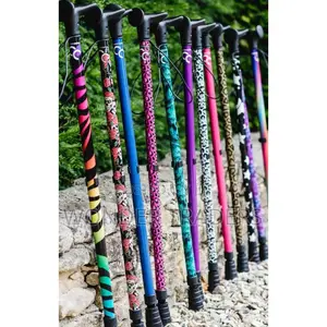 Walking Stick Walking Stick