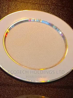 Offer On 5wts Silver/Gold Lining Ceiling Light