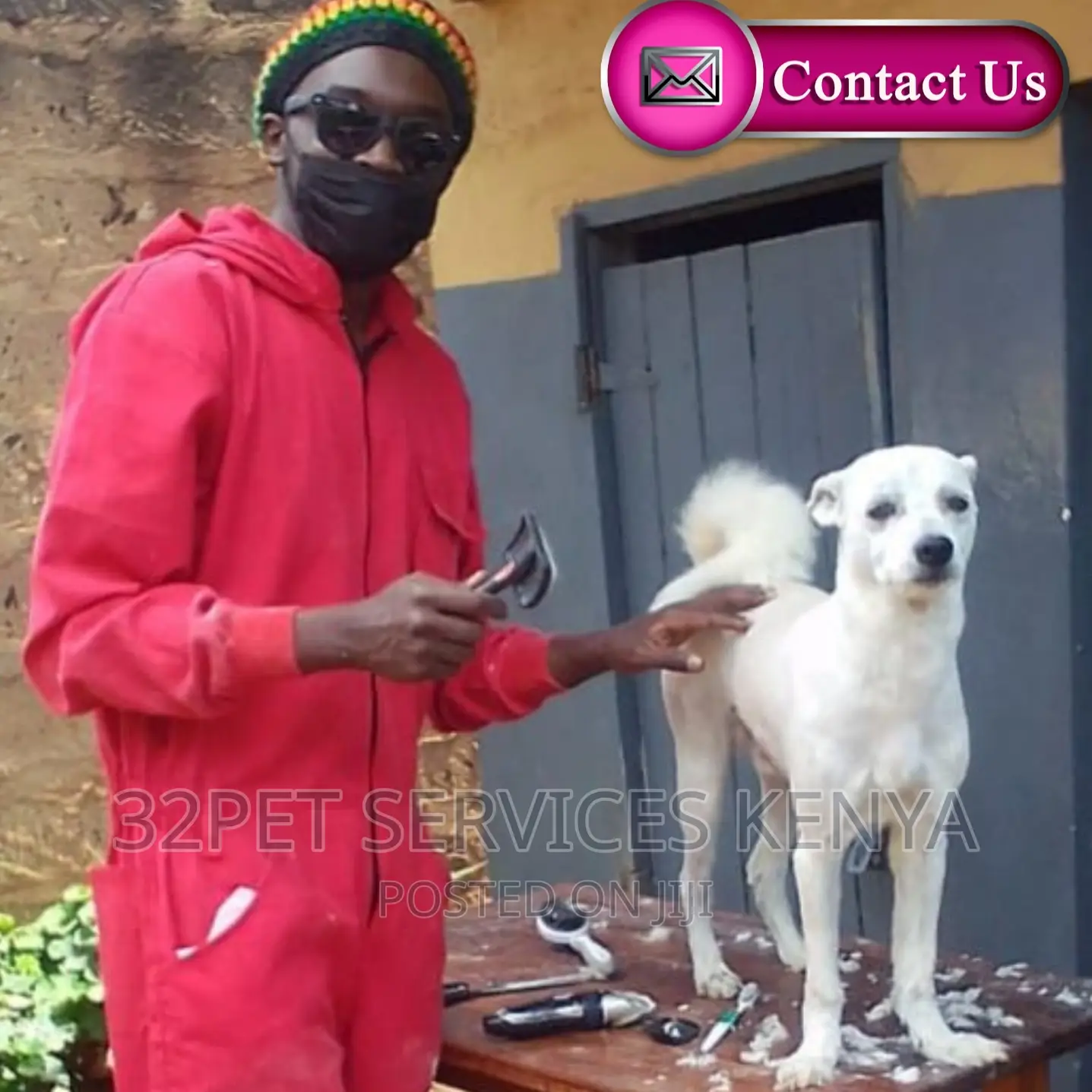 Professional Pet Grooming Services