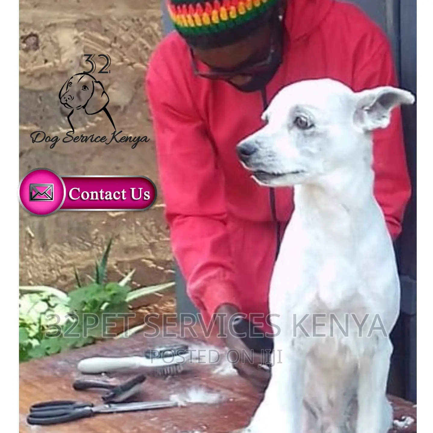Professional Pet Grooming Services