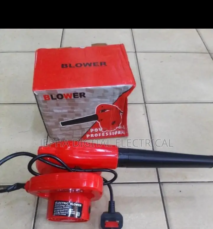 Professional Blower