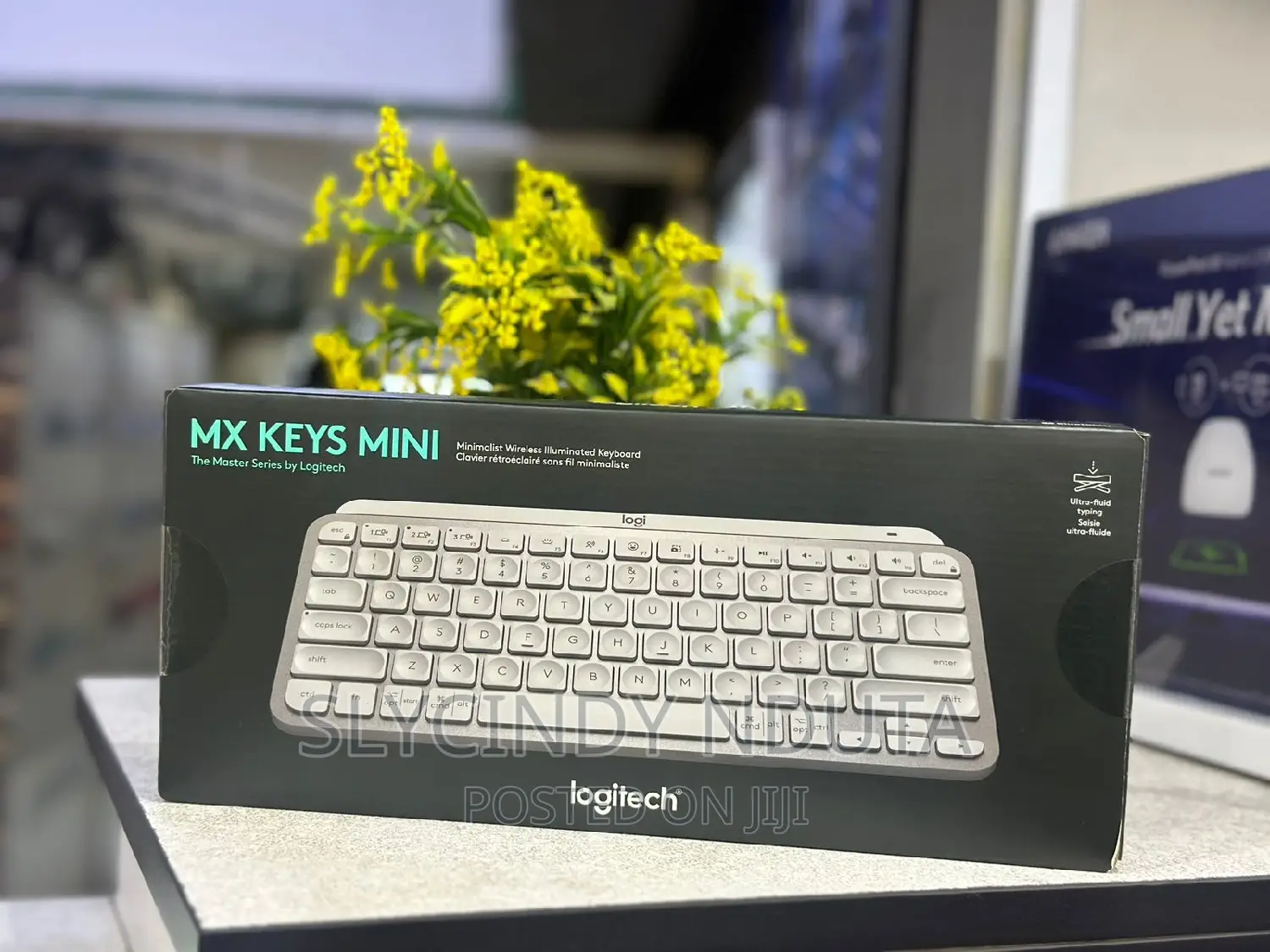 Mx Keys Mini