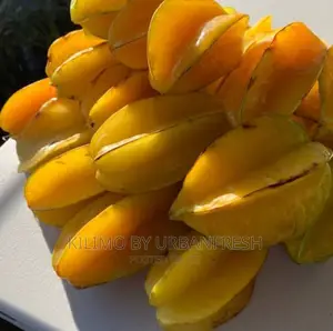 Starfruit Seedling. Moq 5