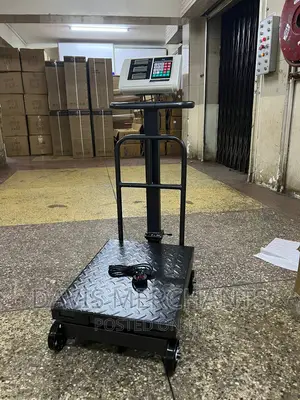 A12 Platform of 300kg