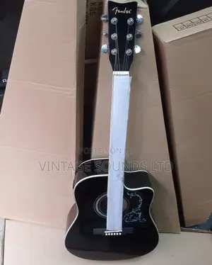 Original Semi Acoustic Box Guitar Usa