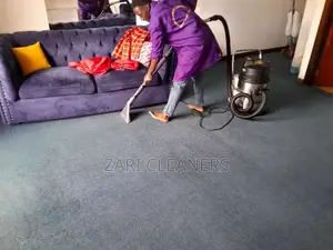 Sofa Set Cleaning/ Fumigation Services