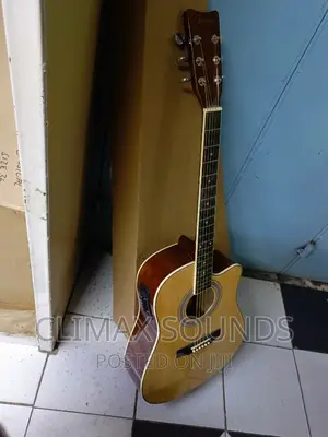 Semi Acoustic Fender Size 41 