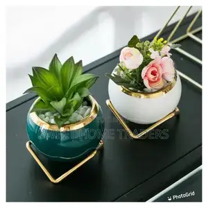 Nordic Succulent Flower Pot /Decorative With Flower.