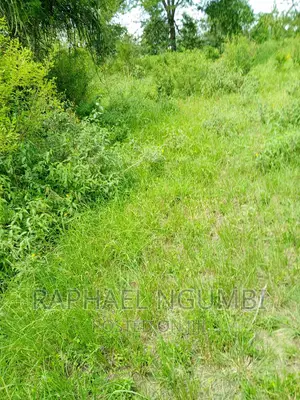 One (1) Acre at Masii - Kitooni