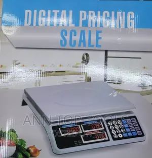 30kg Digital Pricing Scale