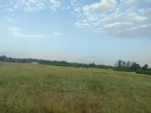 Sagana Prime Plots