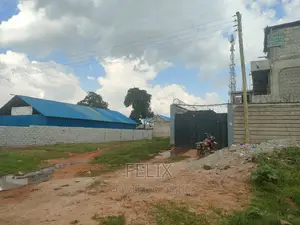 Karatina Karindundu 50/100 