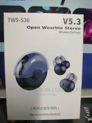 TWS 36 Clip on Wireless Earbuds