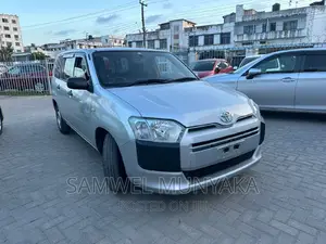 Toyota Probox 1.5 DX 2WD 2017 Silver
