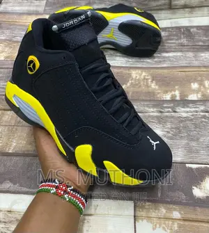 Air Jordan 14 Retro Thunder/ Jordan 3 Tiger 40-45