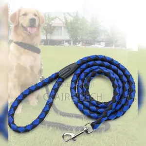 Dog Leash With Harness Medium