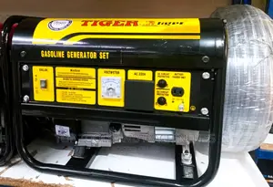 Tiger 1 Kw Gasoline Generator, Portable, Easy Start 4 Stroke