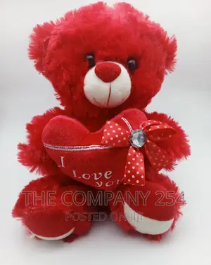 Valentines Teddy Bears 
 Size 25cm
1000/-