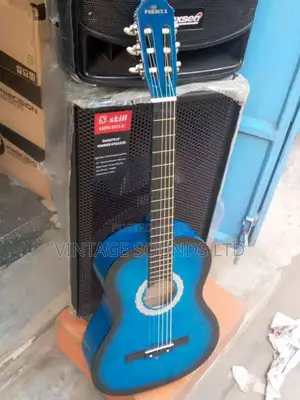 Phoenix Acoustic Box Guitar