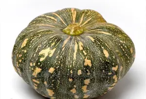 Pumpkin Planting Seeds 50g