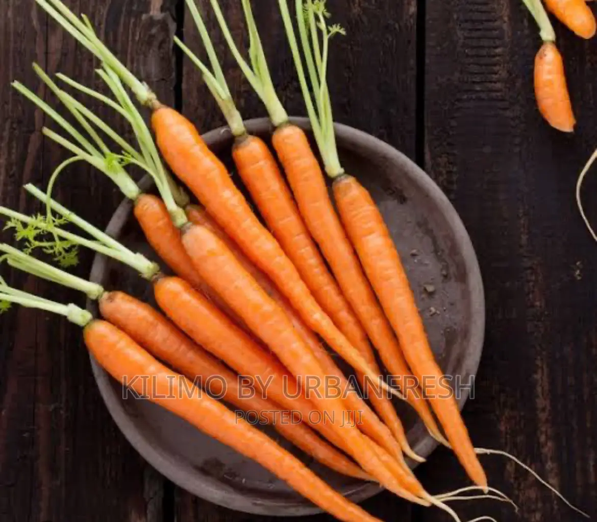 Carrot Nantes Planting Seeds.