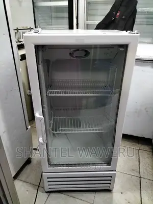 Min Display Fridge