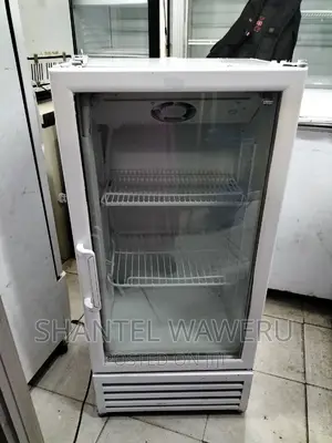 Min Display Fridge