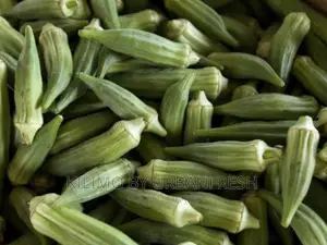 Okra Planting Seeds.