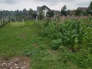 Prime 1/4 Acre Residential Plot in Kerarapon, Ngong - Seize the Opportunity