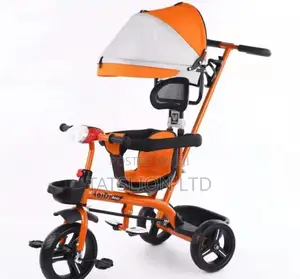 Kids Push Tricycle With Canopy