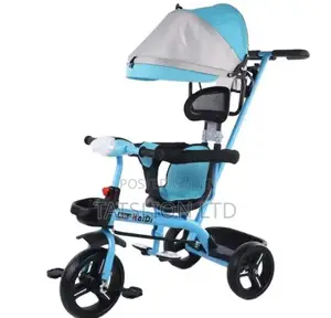 Kids Push Tricycle With Canopy Push