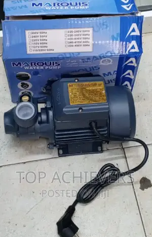 Quality Booster Water Pump 0.5hp 40m