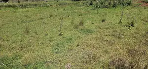 Elgonview 1⁄2 Acre Plot for Sale in Eldoret