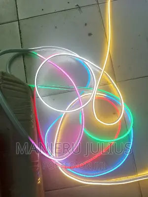 Multicolored Neon Snake Light