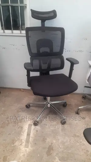 Ergonomic Executive Orthopedic Office Chair