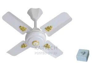 Windsor 24" Ceiling Fan