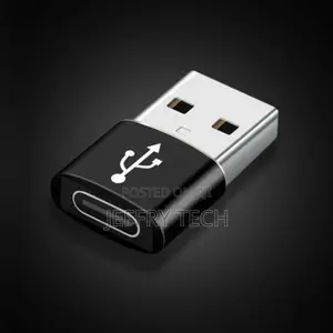 2PCS USB-C Type C Female to USB Male Adapter for iPhone 12