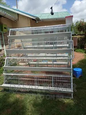 Poutry Cages