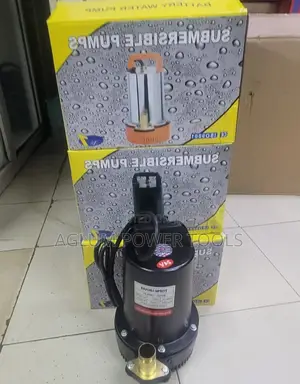Rouis Submersible Pump