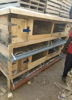 Rabbit House 0665