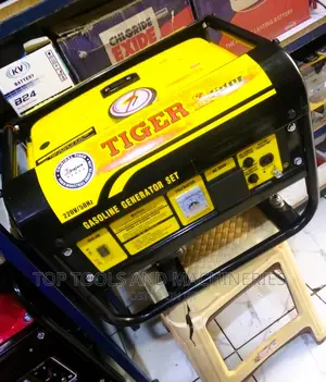 Professional Tiger Gasoline Generator 3.5 Kva