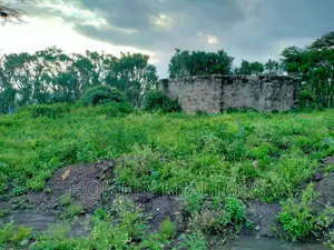 A Quarter (1⁄2) Acre Plot on Kandisi Near Police Station