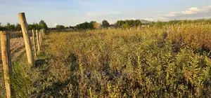 Full 1⁄4 Plot For Sale In Chepkanga Eldoret