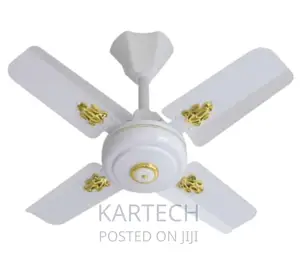 Windsor 24 Inches Ceiling Fan