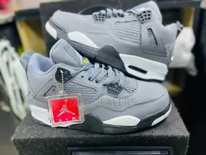 Jordan 4 Cool Grey Sneakers