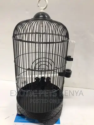 Round Canary Cage